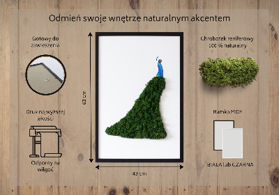 Moss picture Peacock