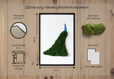 Moss picture Peacock