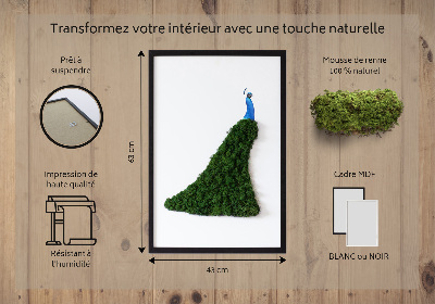 Moss picture Peacock