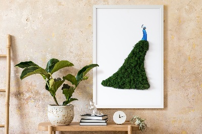 Moss picture Peacock