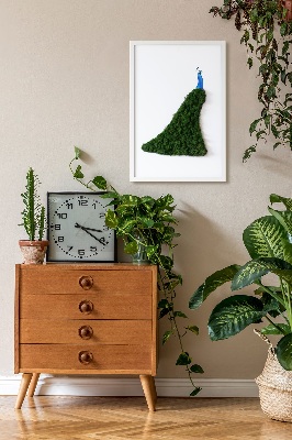 Moss picture Peacock