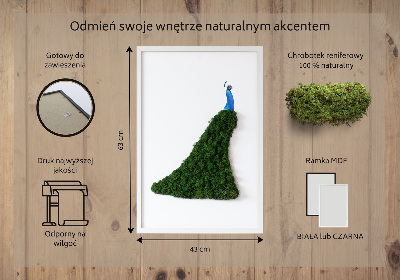 Moss picture Peacock
