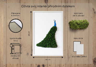 Moss picture Peacock