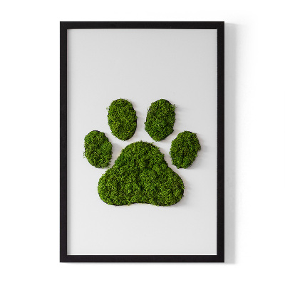 Moss picture Paw print