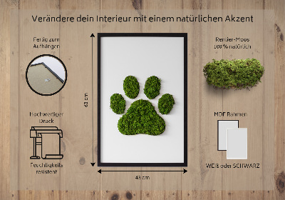 Moss picture Paw print