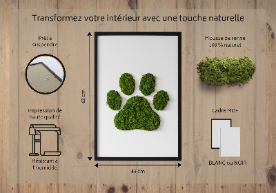 Moss picture Paw print