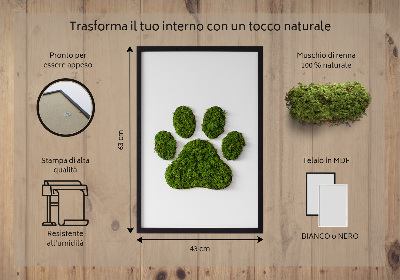 Moss picture Paw print