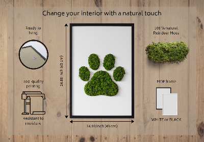 Moss picture Paw print