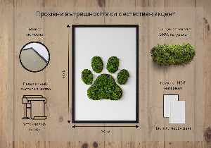 Moss picture Paw print