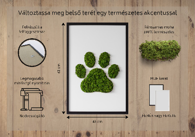 Moss picture Paw print