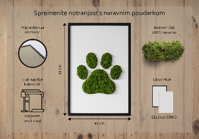 Moss picture Paw print