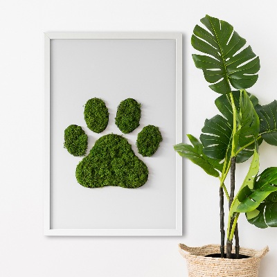 Moss picture Paw print