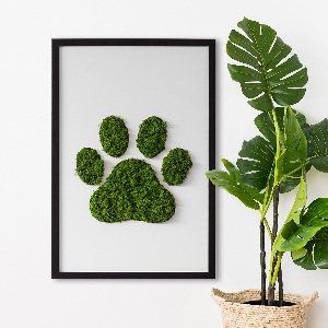 Moss picture Paw print