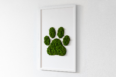 Moss picture Paw print
