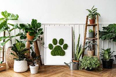 Moss picture Paw print
