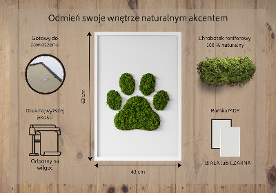 Moss picture Paw print