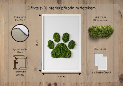 Moss picture Paw print