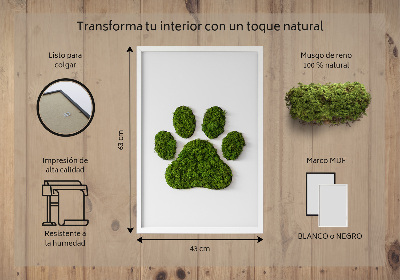 Moss picture Paw print
