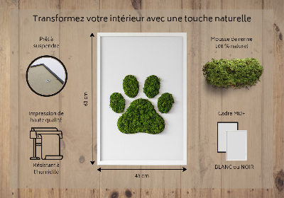 Moss picture Paw print