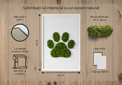 Moss picture Paw print