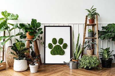 Moss picture Paw print