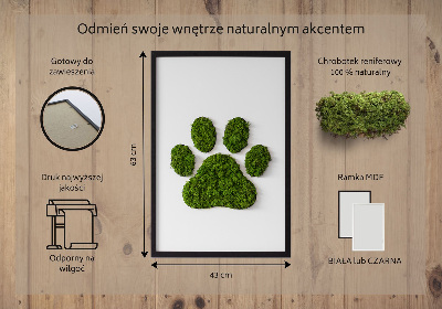 Moss picture Paw print
