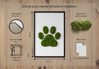Moss picture Paw print