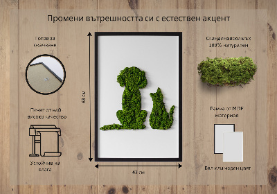 Moss picture Dog with a cat