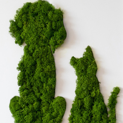 Moss picture Dog with a cat