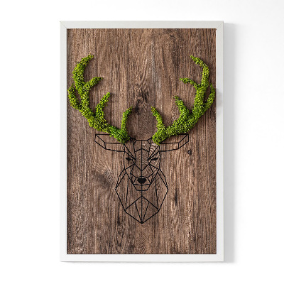 Living moss wall art Deer head on a wooden background
