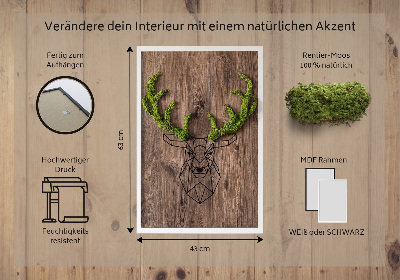 Living moss wall art Deer head on a wooden background