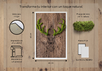 Living moss wall art Deer head on a wooden background
