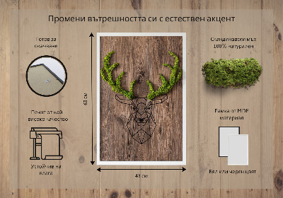 Living moss wall art Deer head on a wooden background