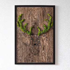 Living moss wall art Deer head on a wooden background