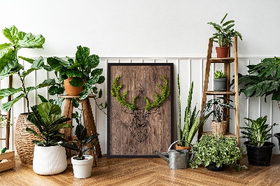 Living moss wall art Deer head on a wooden background