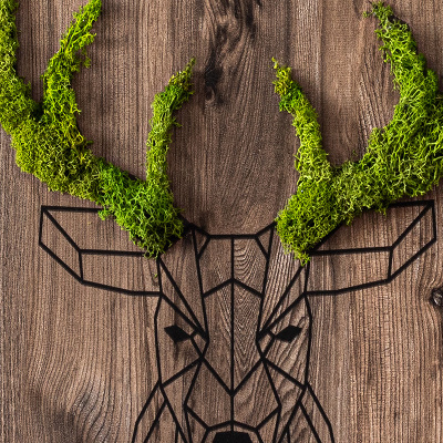 Living moss wall art Deer head on a wooden background