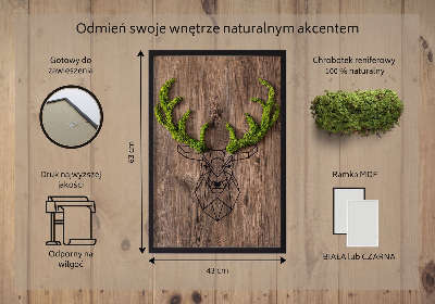 Living moss wall art Deer head on a wooden background