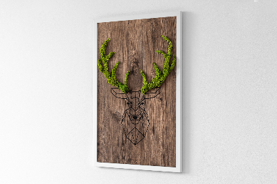 Living moss wall art Deer head on a wooden background
