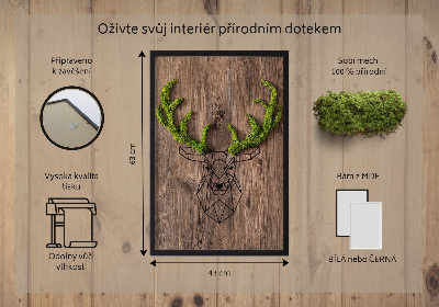 Living moss wall art Deer head on a wooden background
