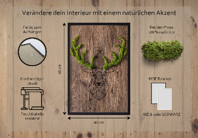 Living moss wall art Deer head on a wooden background