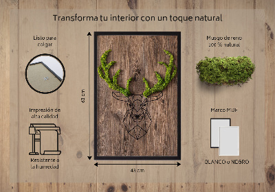 Living moss wall art Deer head on a wooden background