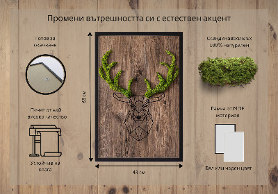 Living moss wall art Deer head on a wooden background