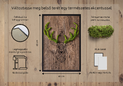 Living moss wall art Deer head on a wooden background