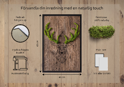 Living moss wall art Deer head on a wooden background