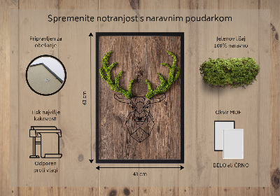 Living moss wall art Deer head on a wooden background