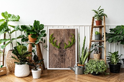 Living moss wall art Deer head on a wooden background