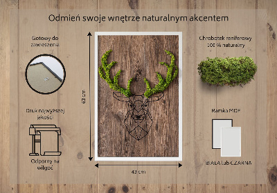 Living moss wall art Deer head on a wooden background