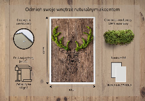 Living moss wall art Deer head on a wooden background