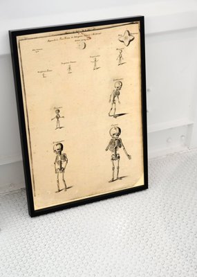Vintage poster John Fotherby Skeleton