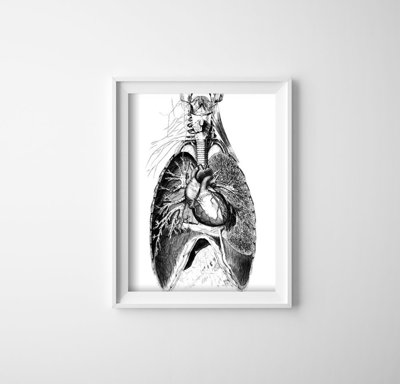 Wall art Human Body Part